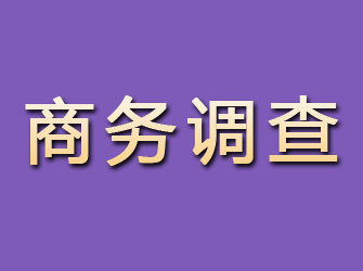 八宿商务调查